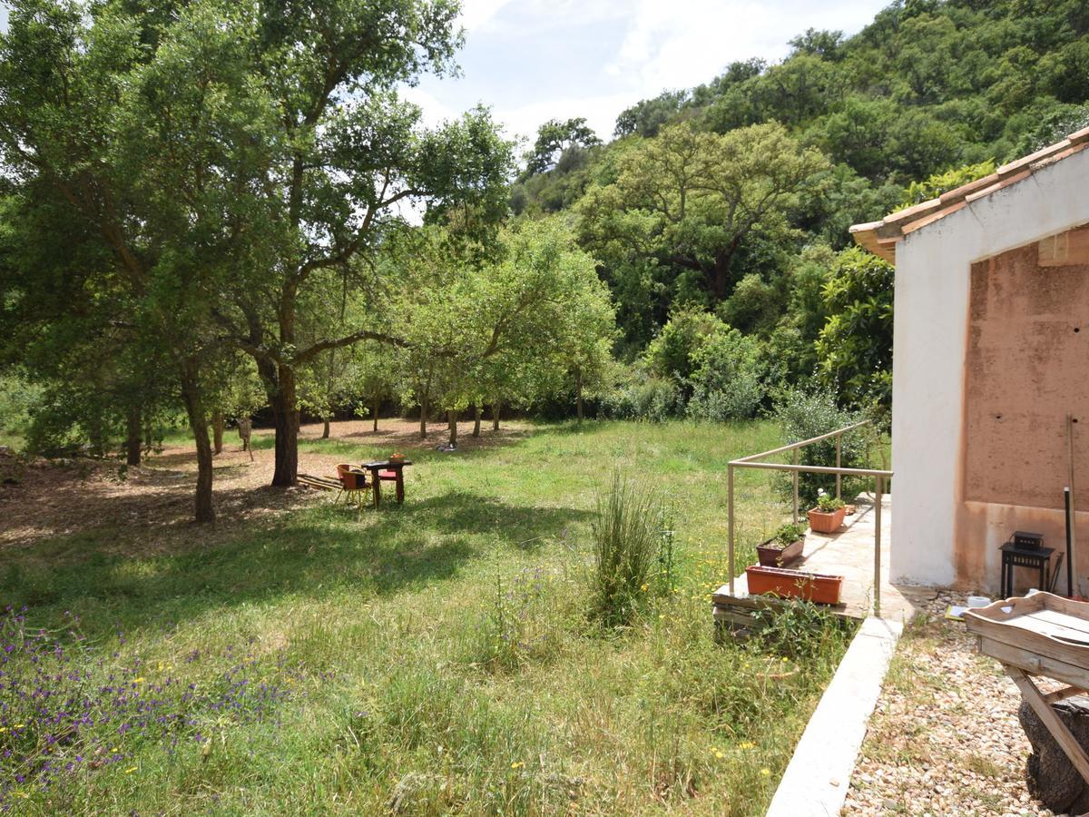 Quiet And Cottage In The Estate Casas Da Cerca Troviscais 외부 사진